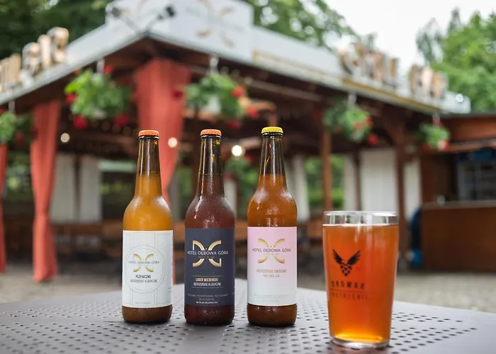Debowa Gora Active & Hotel 3*