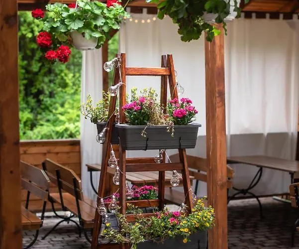 Debowa Gora Active &