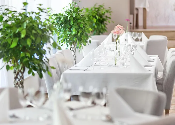 Hotel Debowa Gora Active & 3*